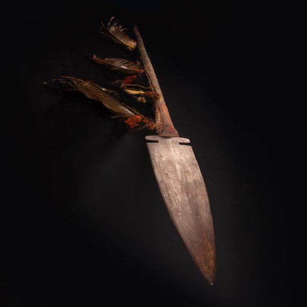 Spear with Feathers