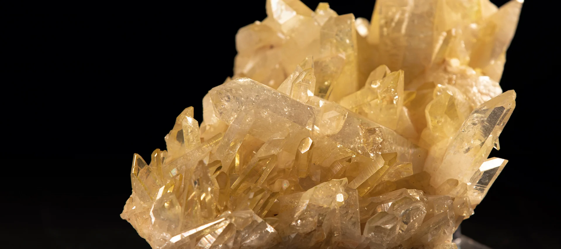 natural relics